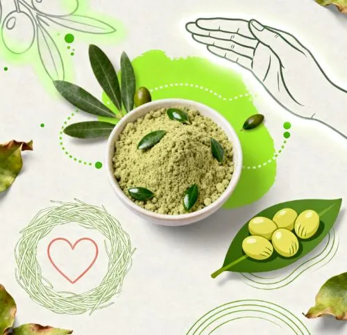 organic olive leaf powder Function.jpeg